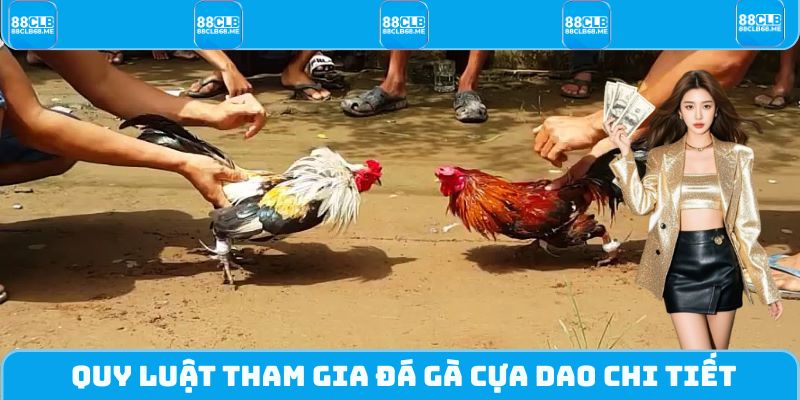 Quy luật tham gia đá gà cựa dao chi tiết nhất hiện nay