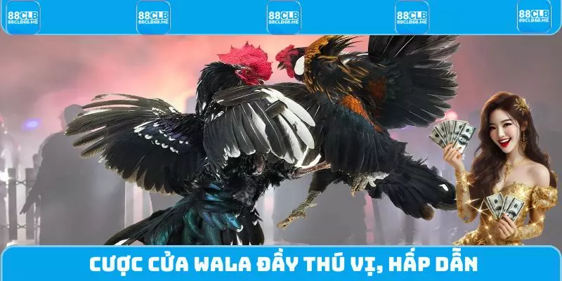 Cược cửa Wala đầy thú vị, hấp dẫn