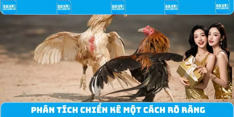 Phân tích chiến kê một cách rõ ràng