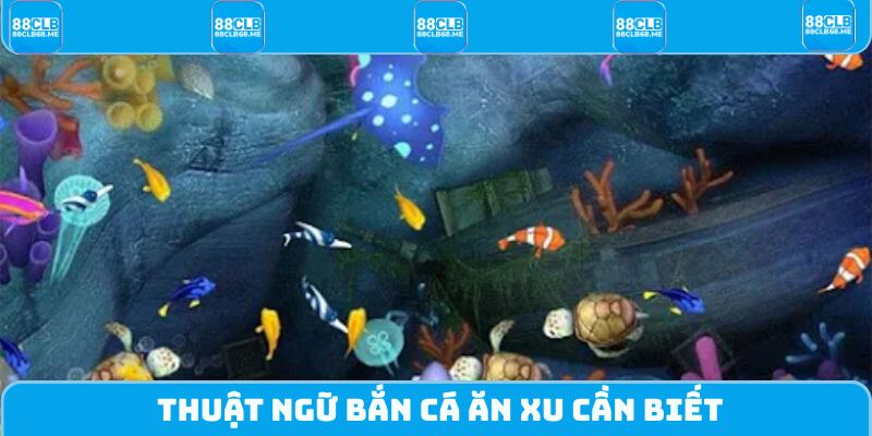 Thuật ngữ Bắn Cá Ăn Xu cần biết